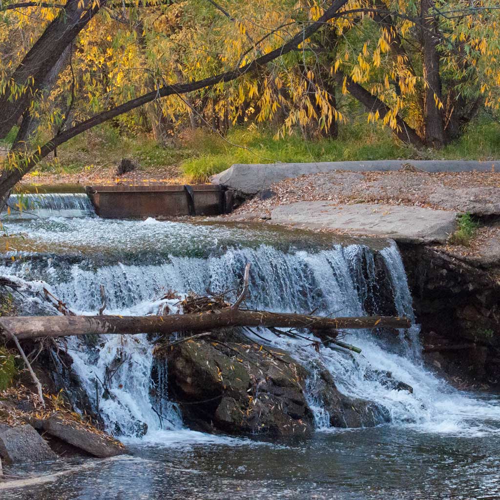 Creek running under tree limbs, firestone junk removal