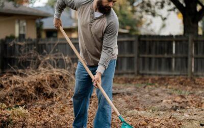 Complete Seasonal Yard Cleanup To Reclaim Your Space