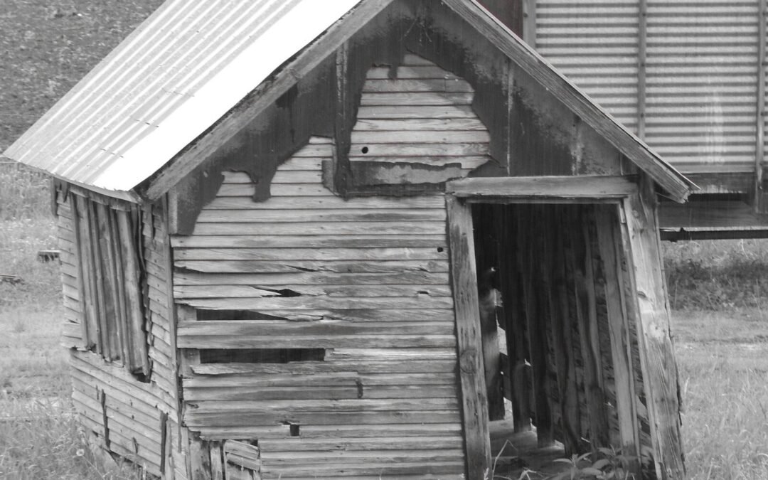 a black and white photo of an old shack