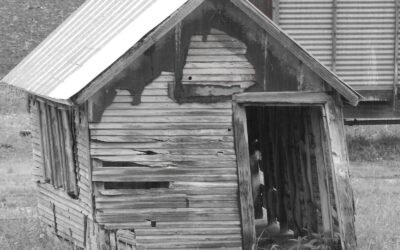 Light Demolition Services in Northern Colorado: Shed Removal, Deck Demolition & More